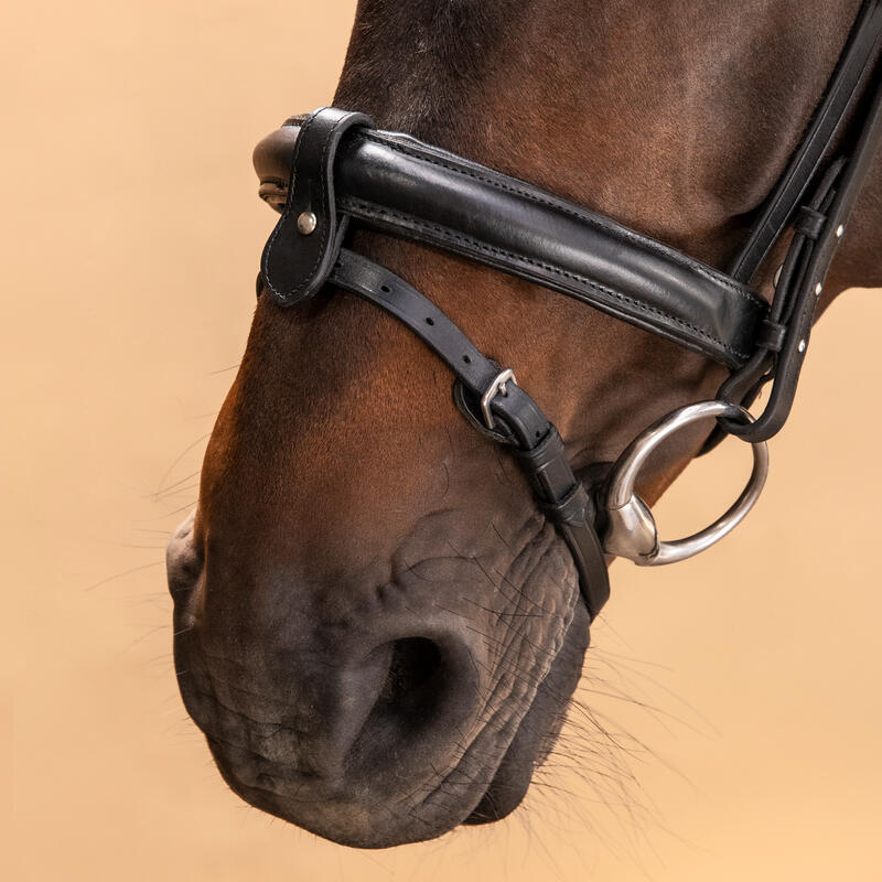 Cabeçada em Couro Strass de Equitação Focinheira Francesa Cavalo/Pónei 580 Preto