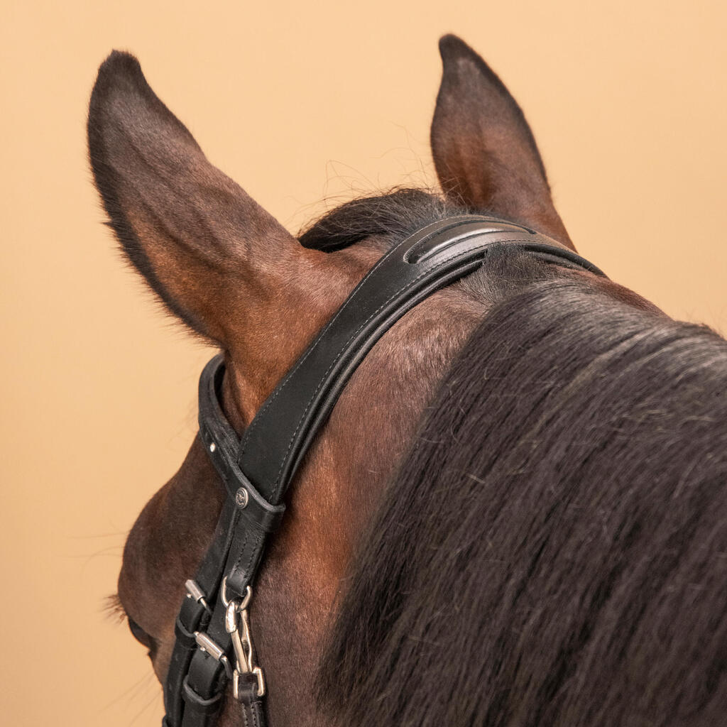 Horse Riding Leather Bridle With French Noseband 580 - Brown Rhinestones