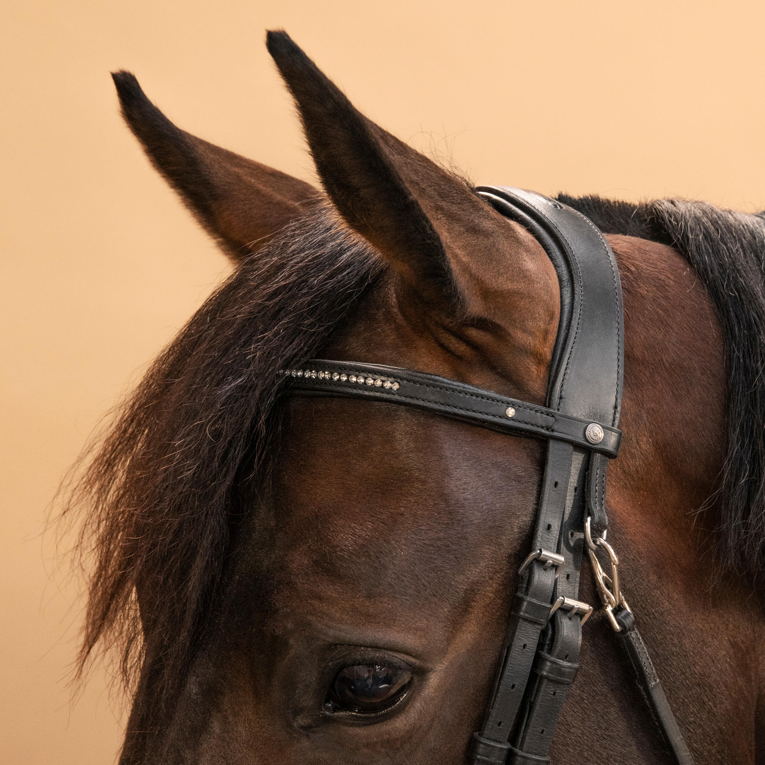Horse Riding Leather Bridle with French Noseband - 580 Rhinestones Black - FOUGANZA