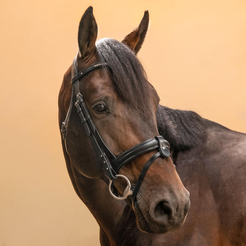 Cabeçada em Couro Strass de Equitação Focinheira Francesa Cavalo/Pónei 580 Preto