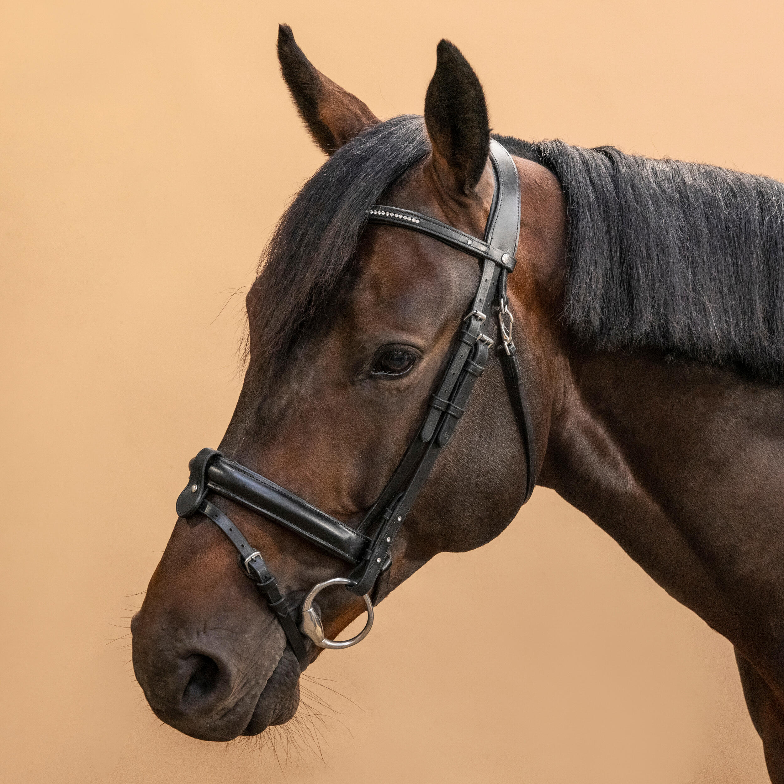 Horse Riding Leather Bridle with French Noseband - 580 Rhinestones Black - FOUGANZA