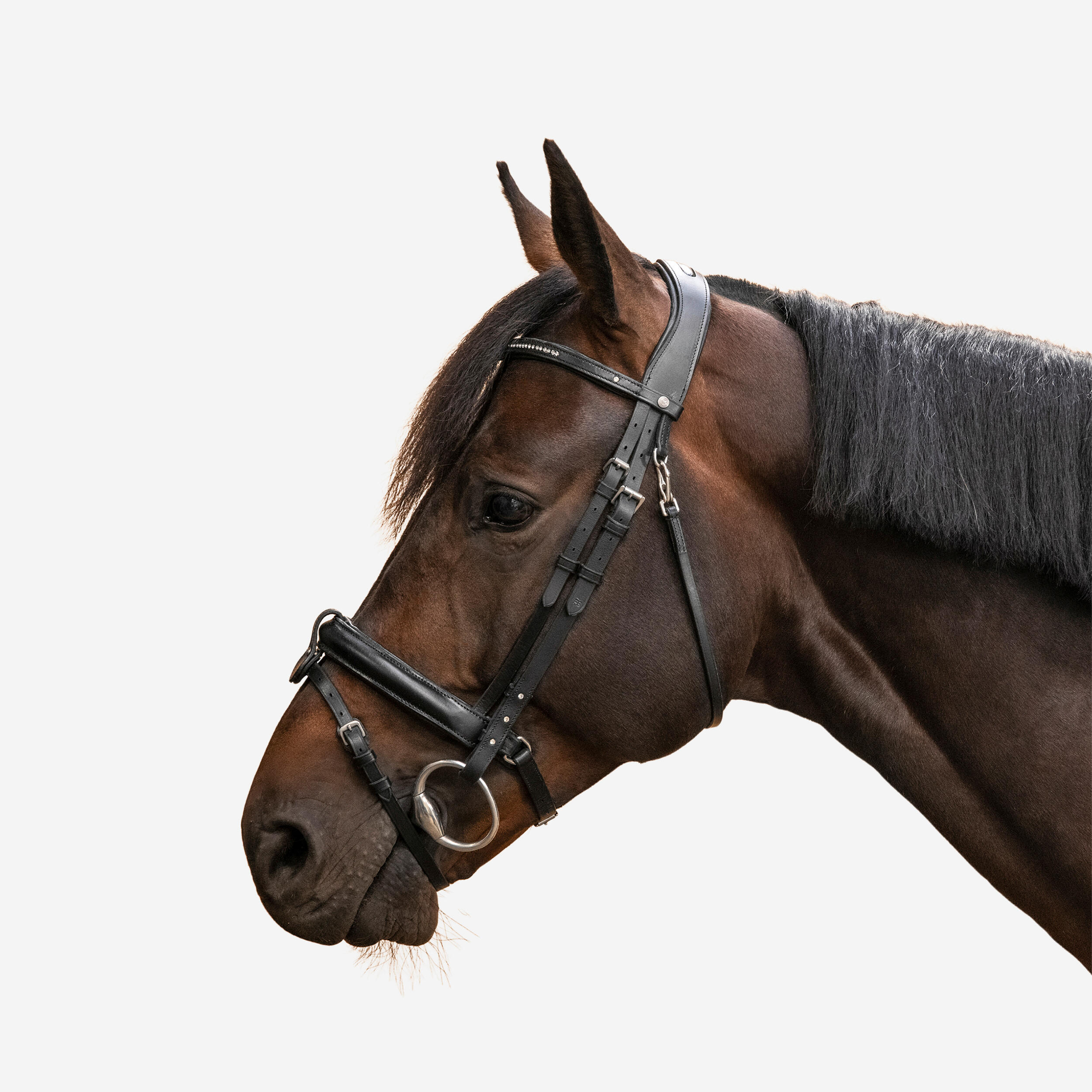 FOUGANZA Horse Riding Leather Bridle With French Noseband 580 - Black Rhinestones