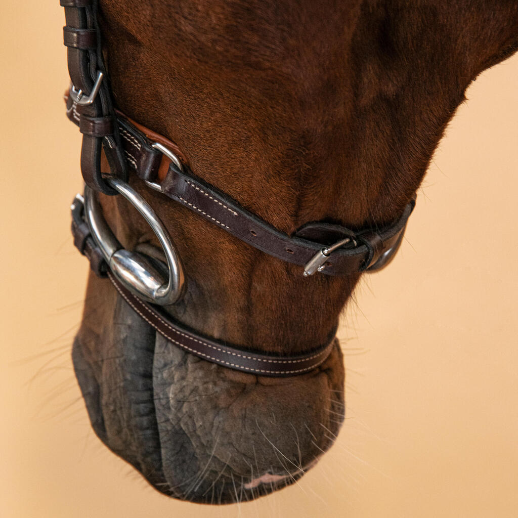 CABEZADA EQUITACIÓN CABALLO/PONI 580 CAFÉ CUERO MUSEROLA FRANCESA PESPUNTE