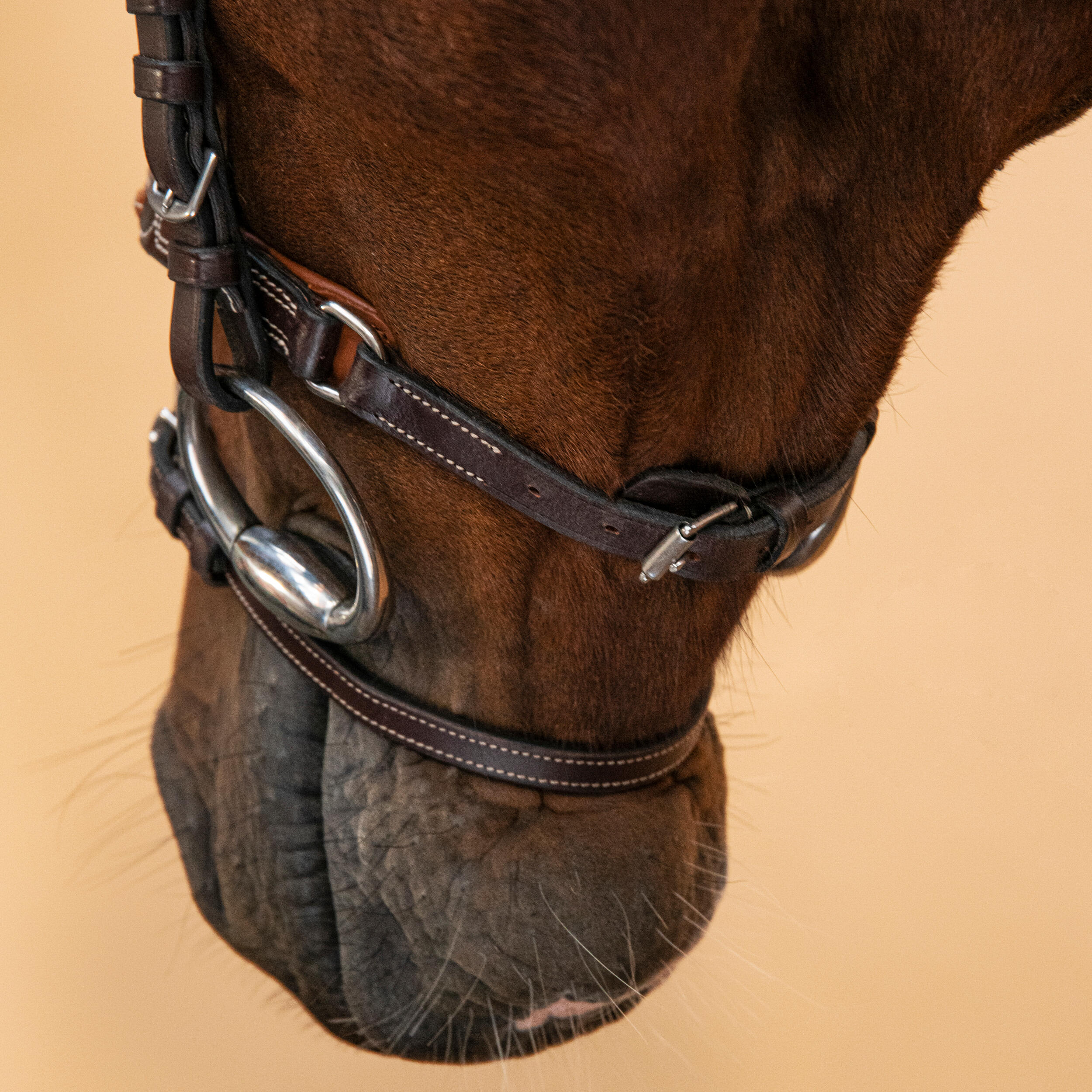 Horse & Pony Riding Topstitched Leather Bridle with French Noseband - 580 Brown - FOUGANZA