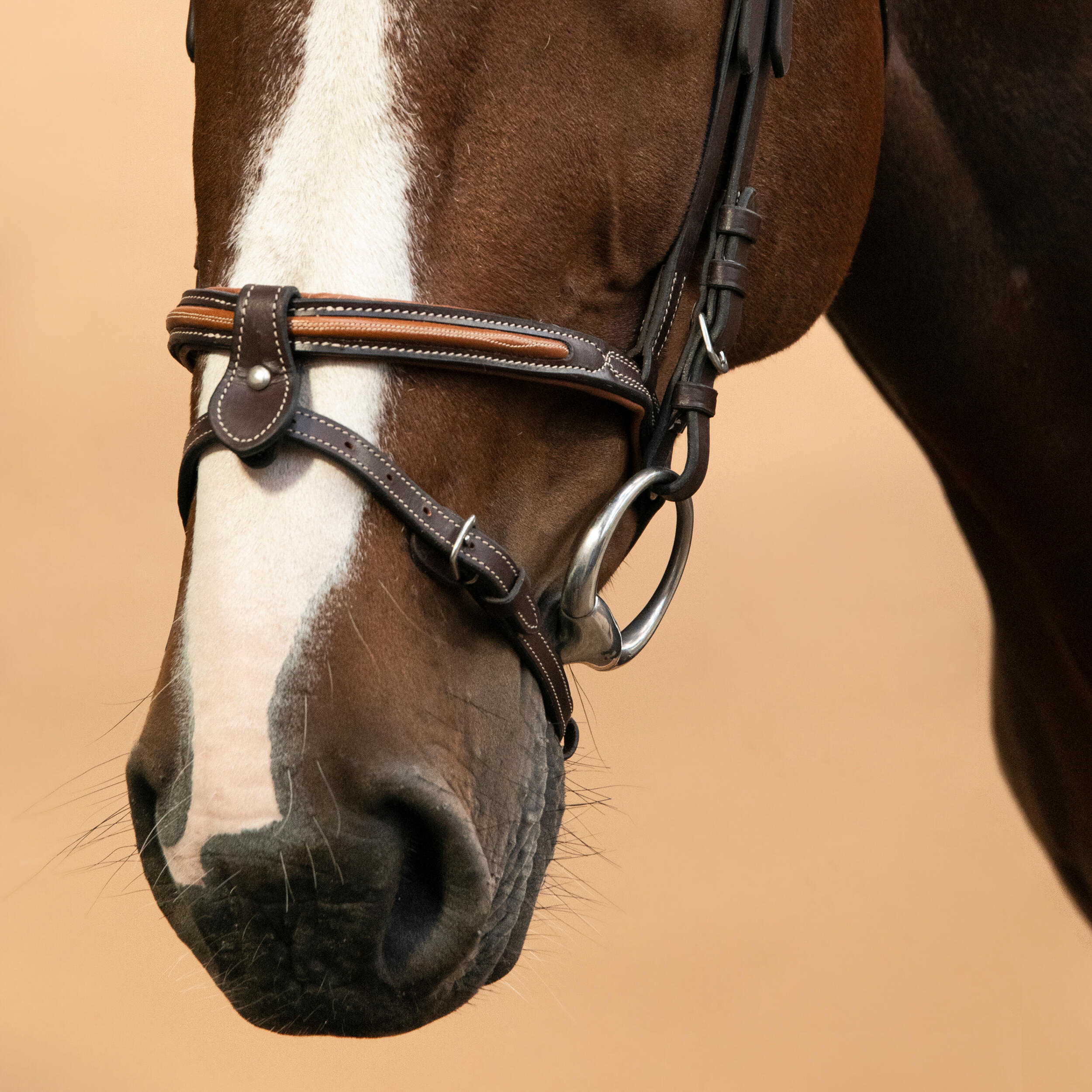 Bride d'équitation en cuir surpiqué muserolle française pour cheval et poney - 580 marron - FOUGANZA