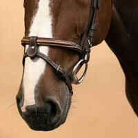 Horse Riding Leather Bridle With French Noseband for Horse & Pony 580 - Brown