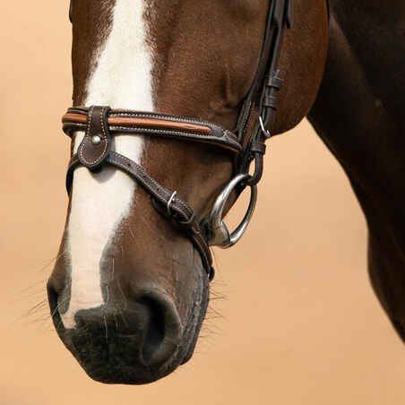 Horse Riding Topstitched Leather Bridle With French Noseband for Horse & Pony 580 - Brown