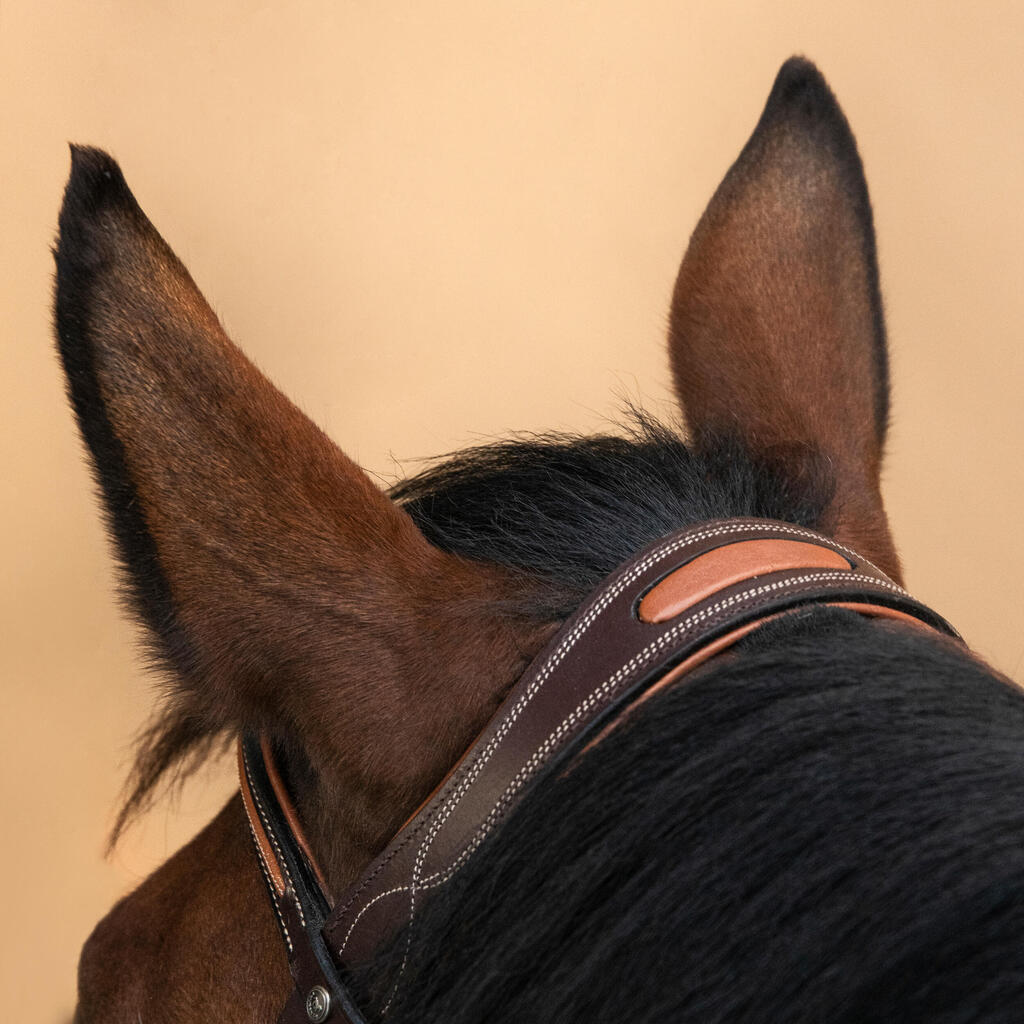 Filet équitation cuir muserolle française surpiqué Cheval et poney - 580 marron