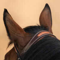 Horse & Pony Leather Bridle With French Noseband 580 - Brown Topstitched