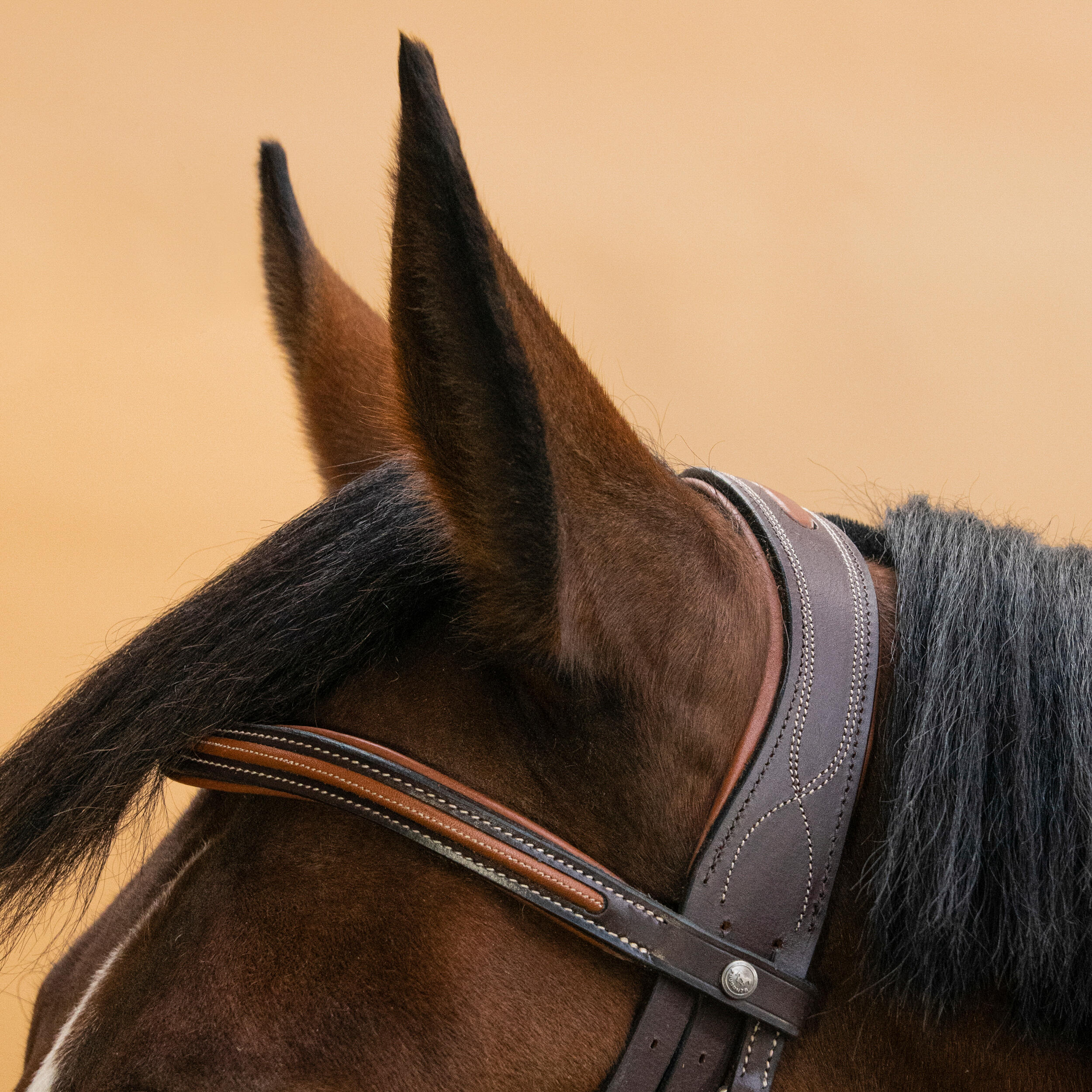 Bride d'équitation en cuir surpiqué muserolle française pour cheval et poney - 580 marron - FOUGANZA