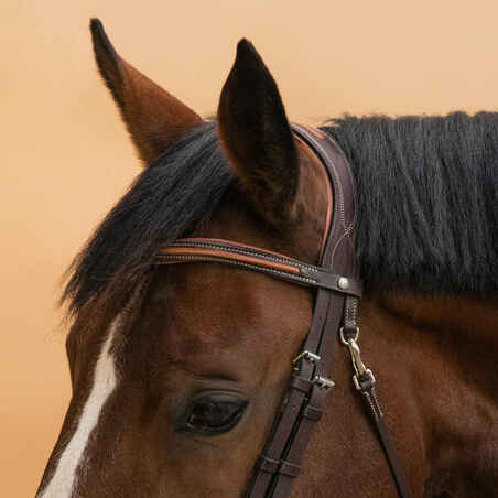 Horse Riding Topstitched Leather Bridle With French Noseband for Horse & Pony 580 - Brown