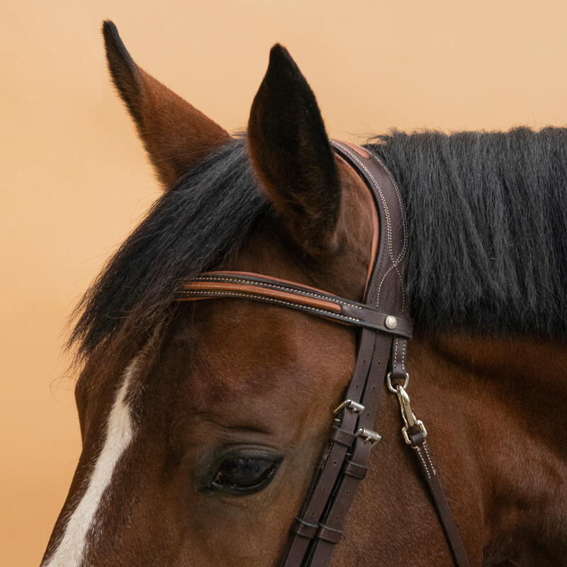 Cabeçada em Couro de Equitação Focinheira Francesa Cavalo e Pónei 580 Castanho