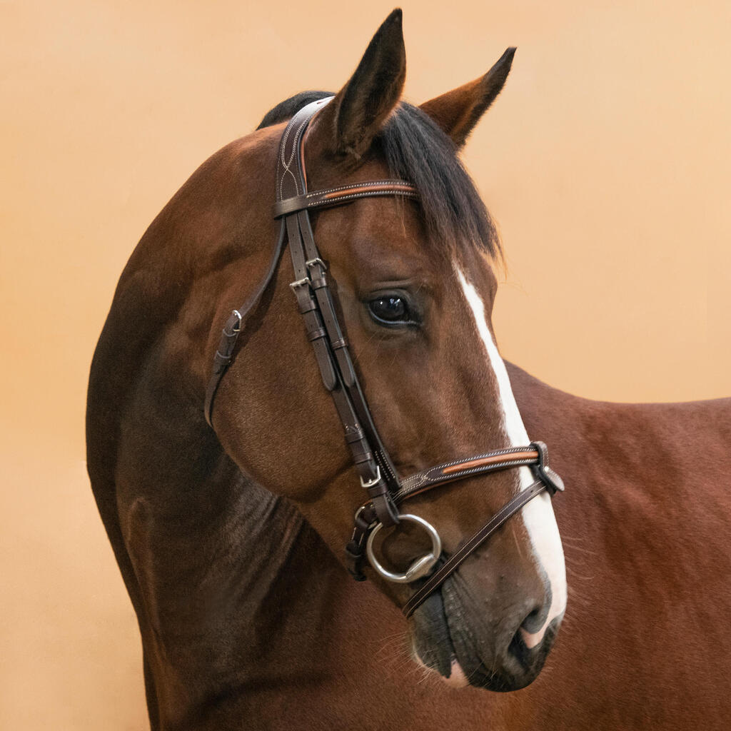 Filet équitation cuir muserolle française surpiqué Cheval et poney - 580 marron