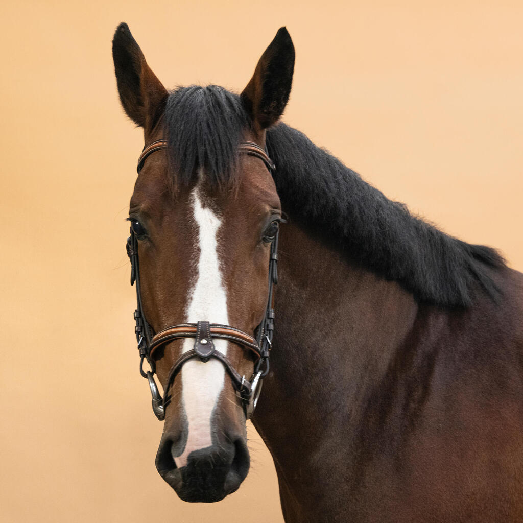 CABEZADA EQUITACIÓN CABALLO/PONI 580 CAFÉ CUERO MUSEROLA FRANCESA PESPUNTE