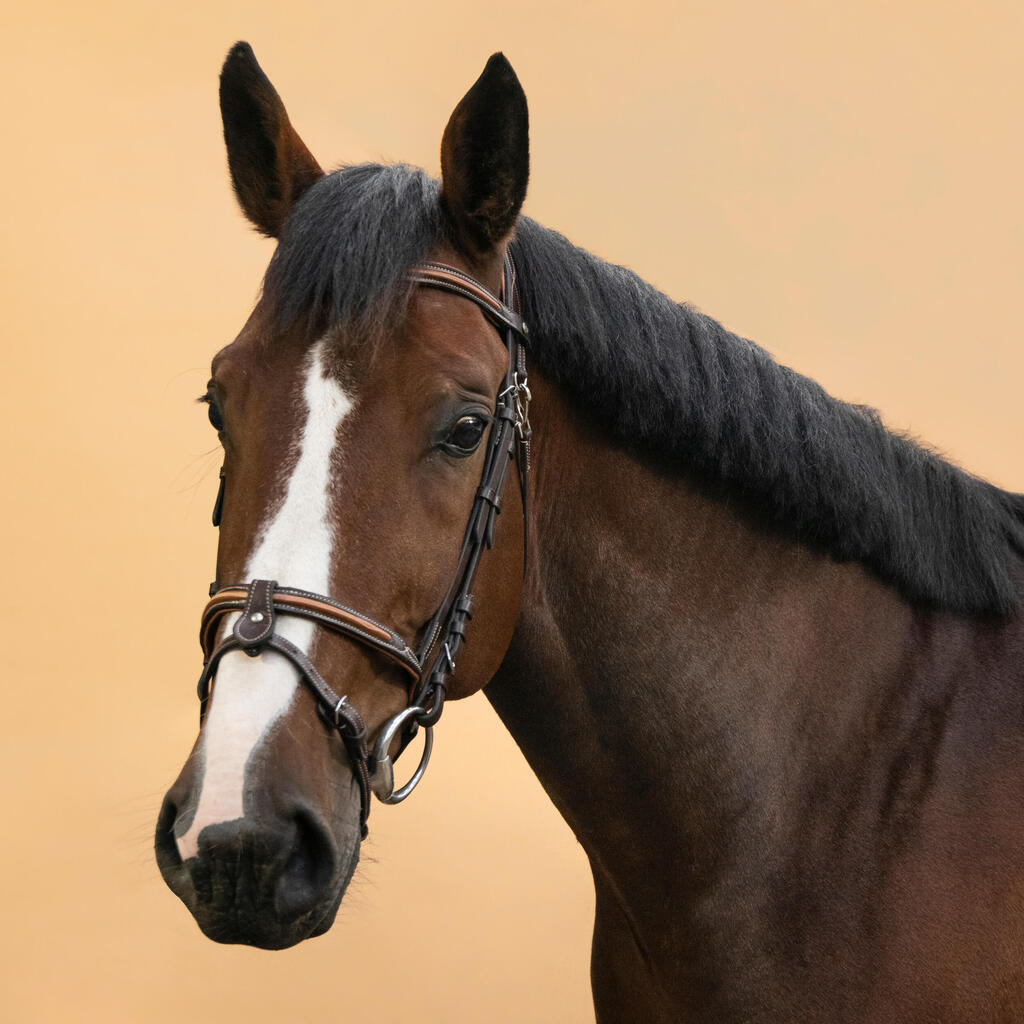 ראשיית עור עם רצועת אף צרפתית לסוסים/סוסי פוני - חום
