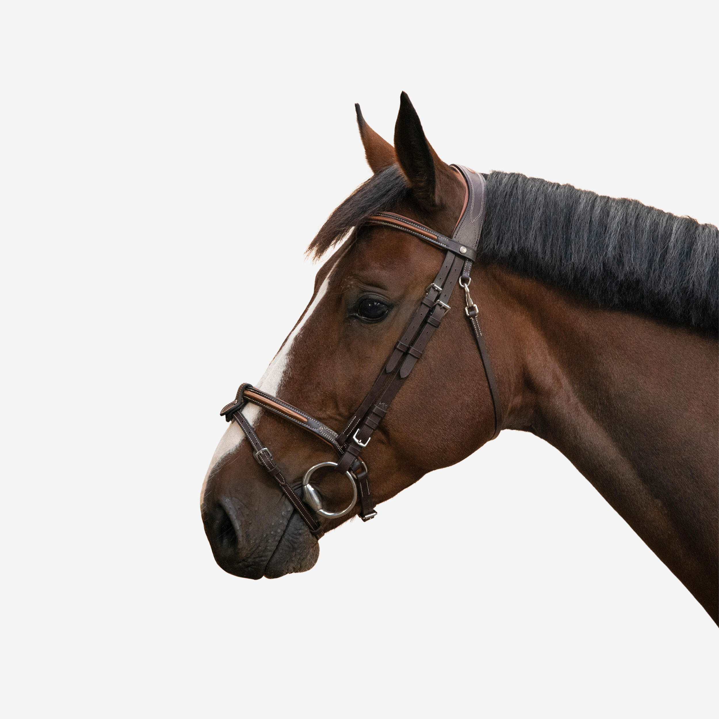 Bride d'équitation en cuir surpiqué muserolle française pour cheval et poney - 580 marron - FOUGANZA