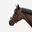 Cabeçada Pespontada em Couro de Equitação Focinheira Francesa para Cavalo e Pónei 580 Castanho
