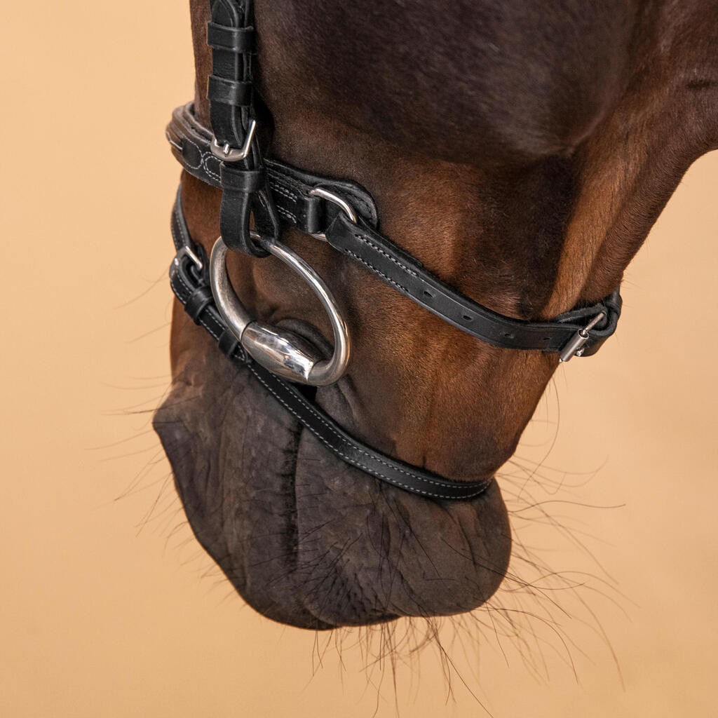 Uzdečka s anglickým nánosníkom 580 kožená prešívaná pre kone a poníky hnedá