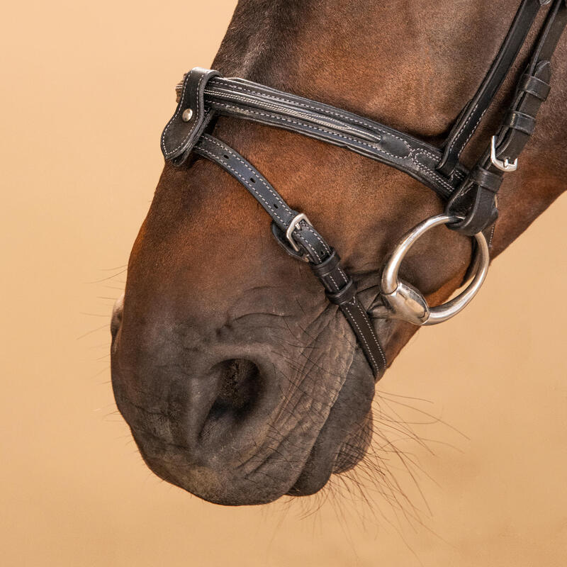 Hoofdstel voor paarden en pony's 580 Franse neusriem leer stiksels zwart