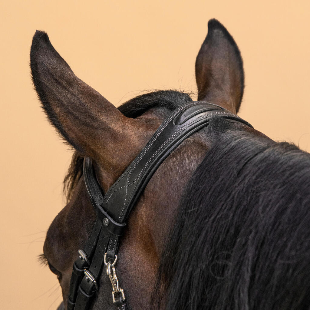 Horse Riding Leather Bridle With French Noseband for Horse & Pony 580 - Brown