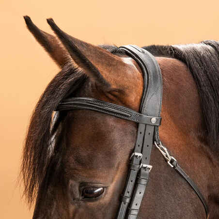 580 Topstitched Horse Riding Bridle For Horse - Black