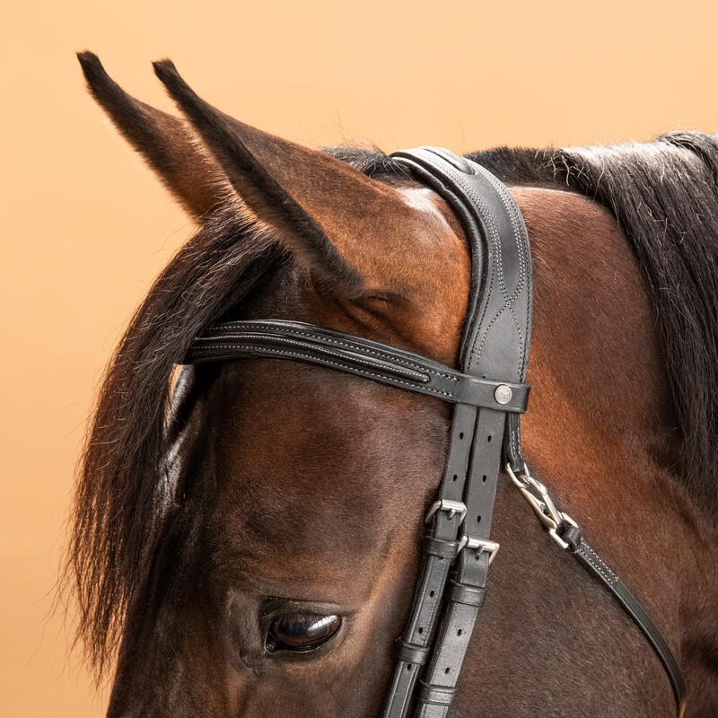Hoofdstel voor paarden en pony's 580 Franse neusriem leer stiksels zwart