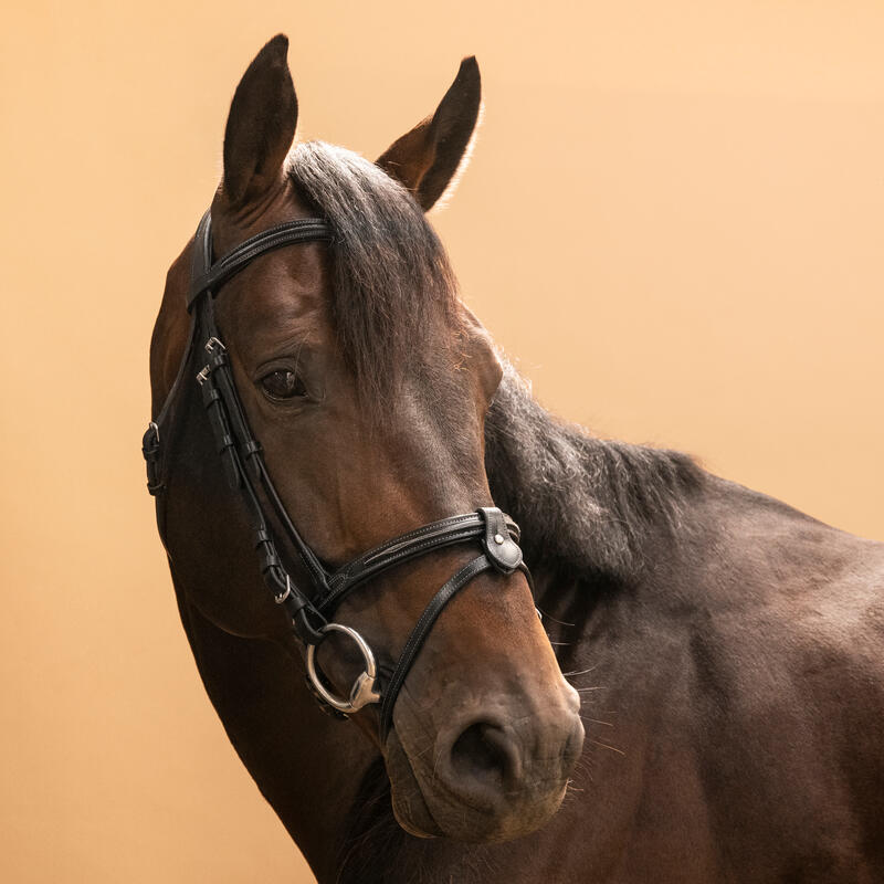 Filet équitation cuir muserolle française surpiqué Cheval et poney - 580 noir