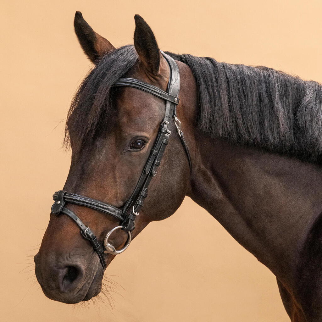 Zirgu jāšanas ādas iemaukti ar franču deguna siksnu “580”, brūni