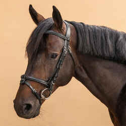 Horse & Pony Leather Bridle With French Noseband 580 - Black Topstitched