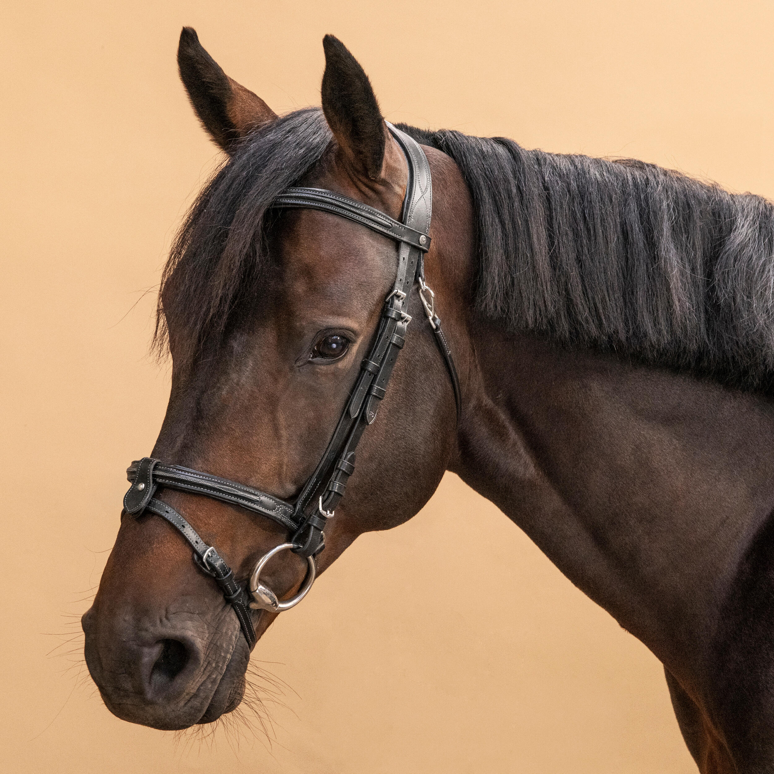 Horse and pony leather riding net with stitched French noseband - 580 black