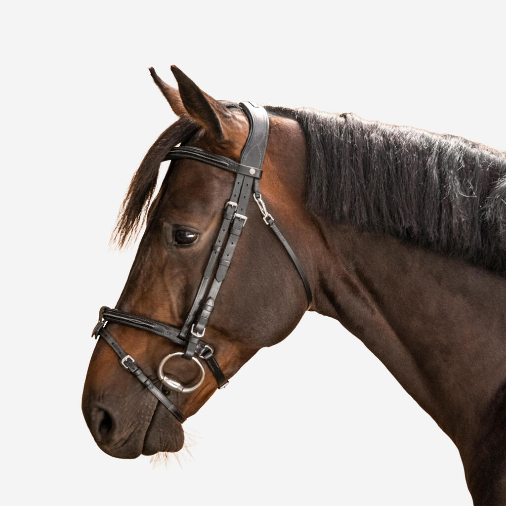 Uzdečka s anglickým nánosníkom 580 kožená prešívaná pre kone a poníky hnedá