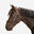 Testiera equitazione pony e cavallo 580 capezzina francese nera