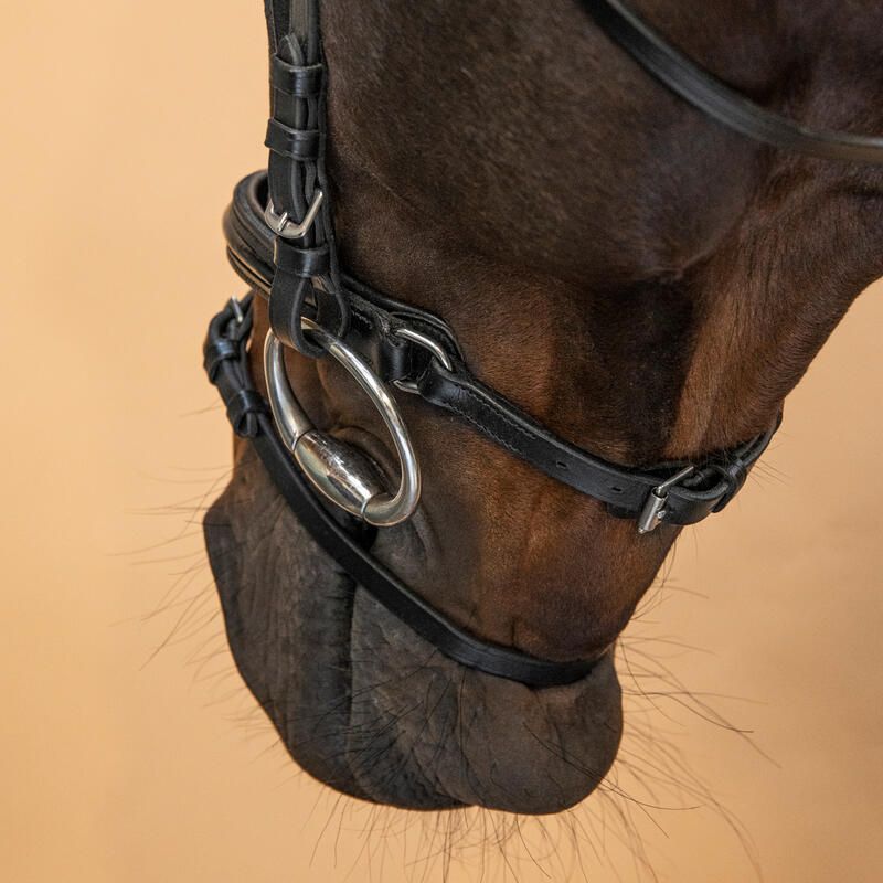 Testiera equitazione pony e cavallo 580 GLOSSY capezzina francese nera 