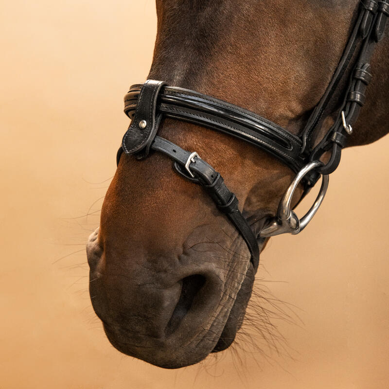 Trense Pferd/Pony Leder - Glossy schwarz
