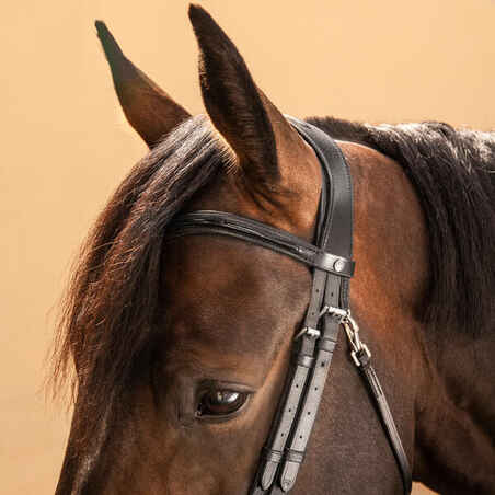 Horse Riding Glossy Leather Bridle With French Noseband for Horse & Pony 580