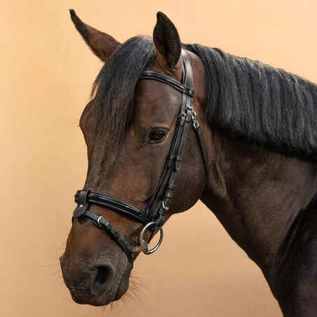 Horse Riding Glossy Leather Bridle With French Noseband for Horse & Pony 580