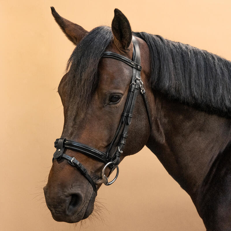 Cabezada equitación fouganza 580 GLOSSY caballo negro