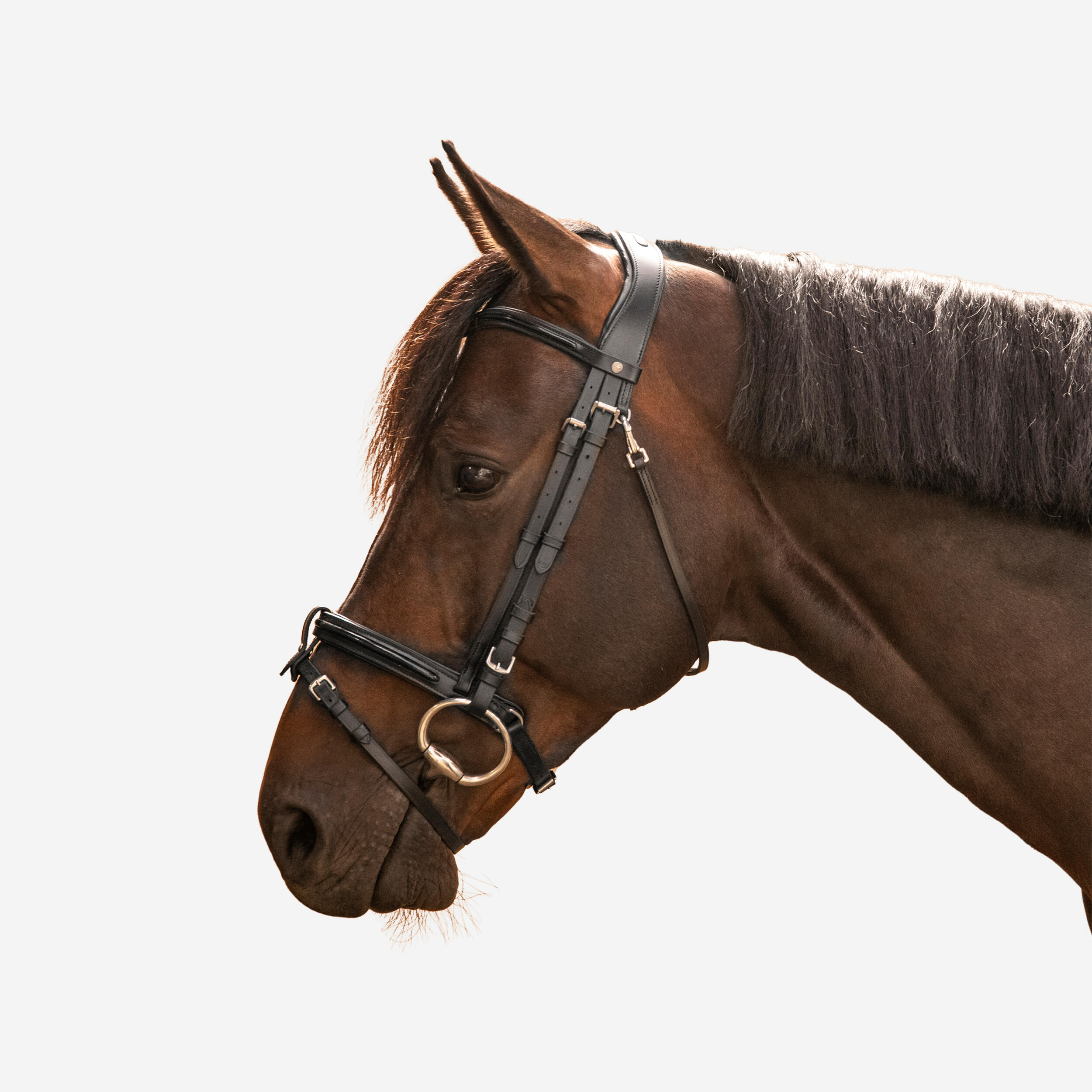 Căpăstru 580 echitație din piele împletită strass negru cal/ponei FOUGANZA decathlon.ro