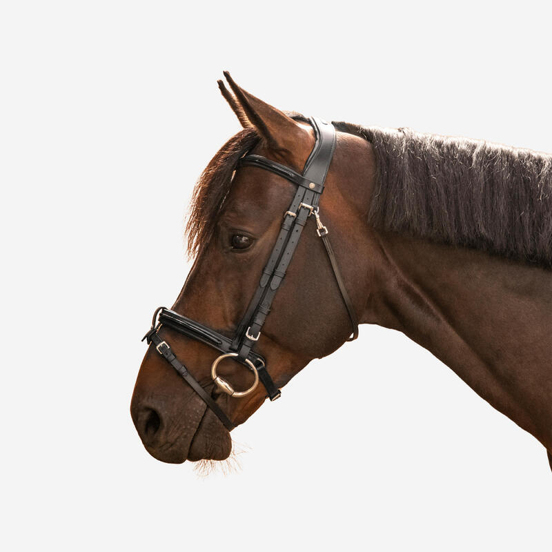 zeil regelmatig Direct FOUGANZA Hoofdstel paard en pony leer Franse neusriem glossy 580 | Decathlon