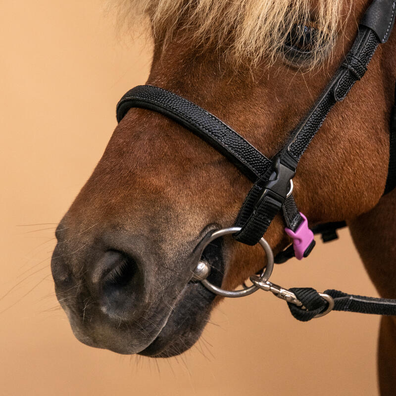 Hoofdstel en teugels voor pony's 100 Initiation kunststof zwart