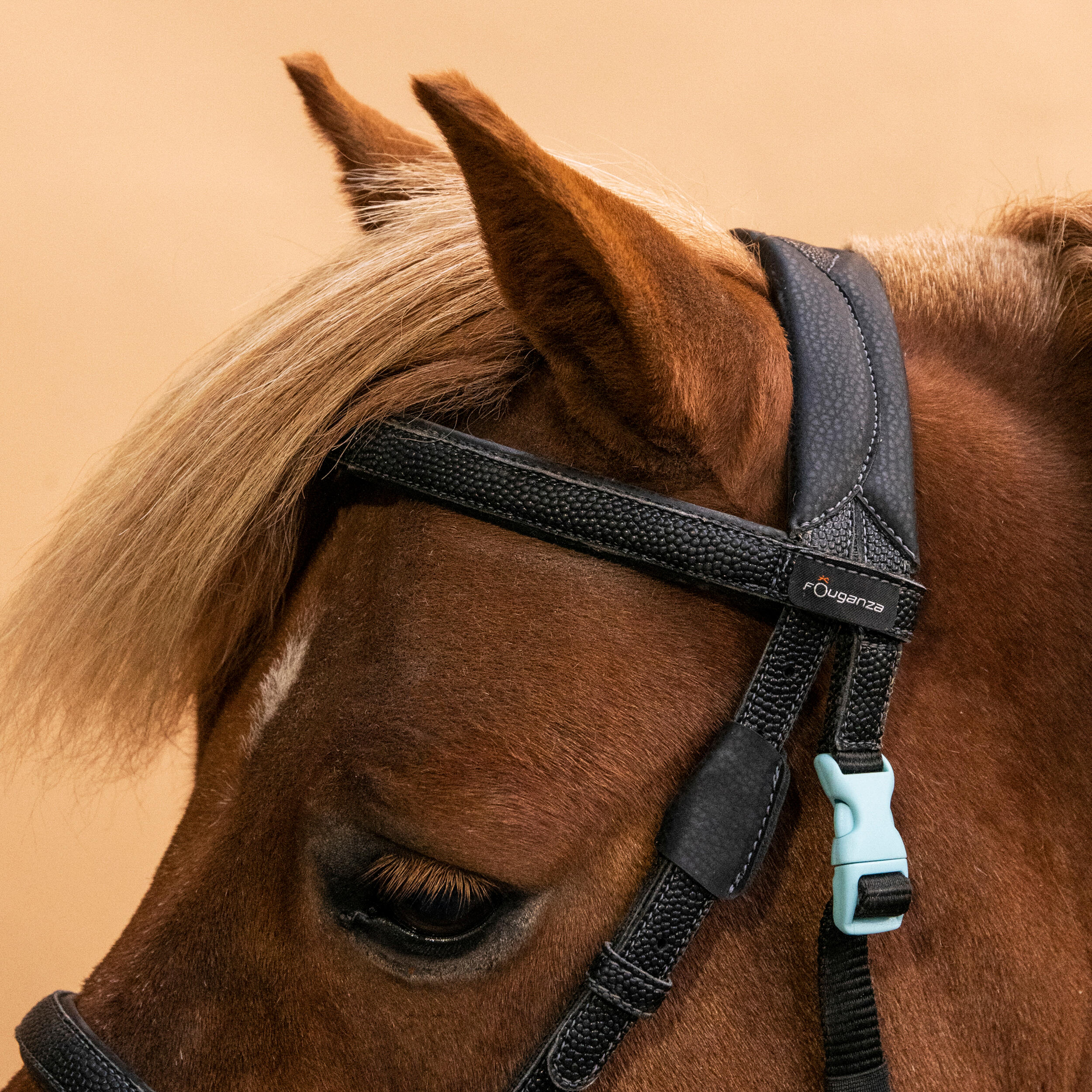 Filet et rênes d'équitation synthétiques d'initiation pour poney - 100 noir - FOUGANZA