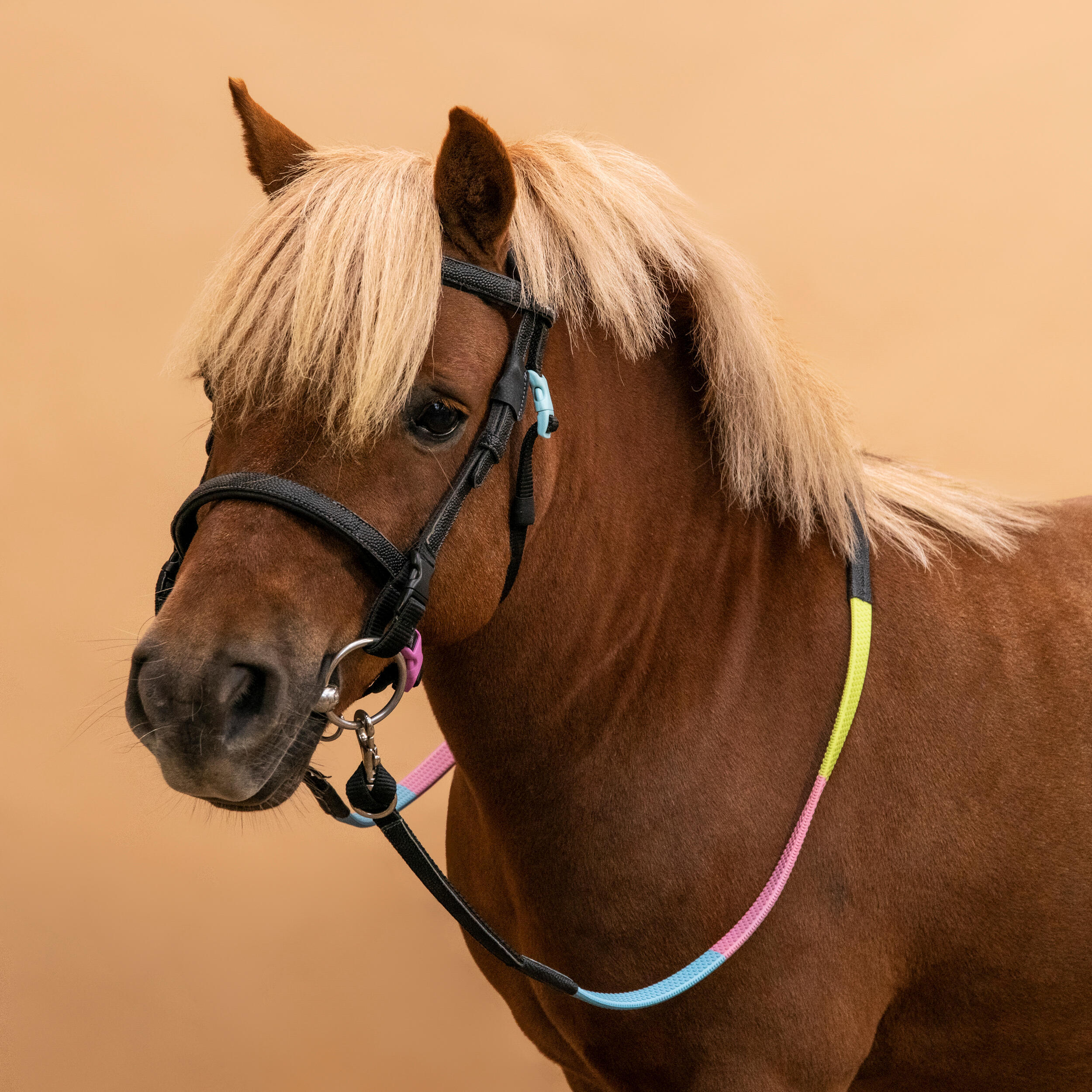 Testiera e redini equitazione pony 100 INITIATION sintetico nera  2/7