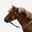 Uzdečka s otěžemi 100 INITIATION pony syntetická s anglickým nánosníkem černá 