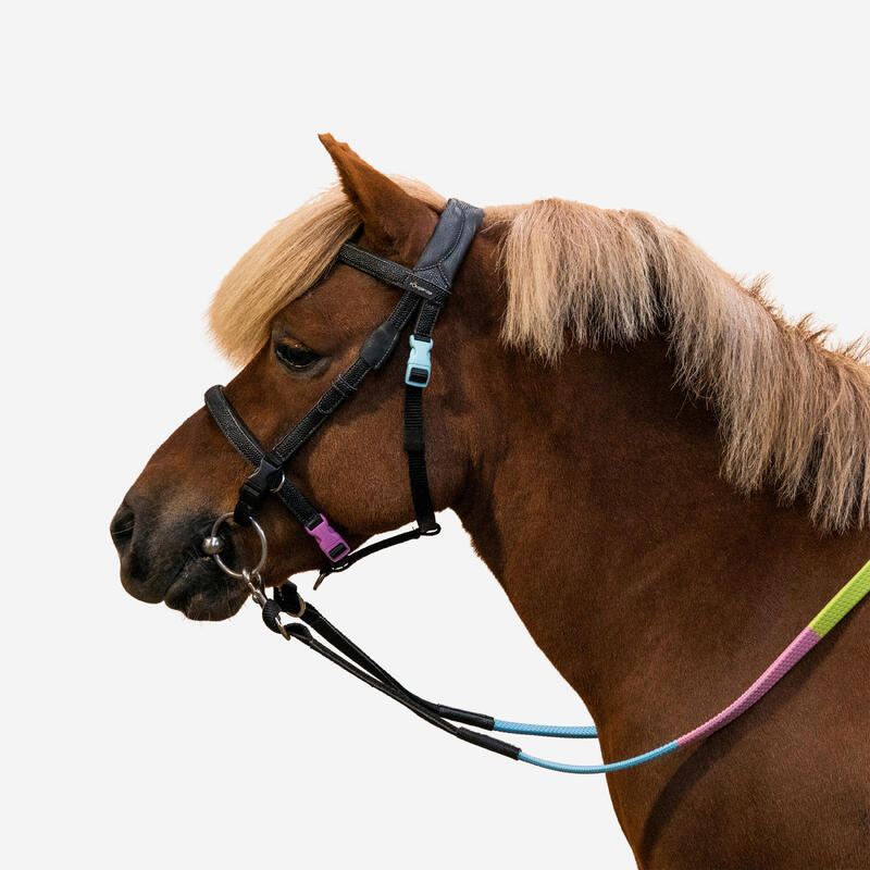 Hoofdstel en teugels voor pony's 100 INITIATION synthetisch materiaal met Franse neusriem zwart