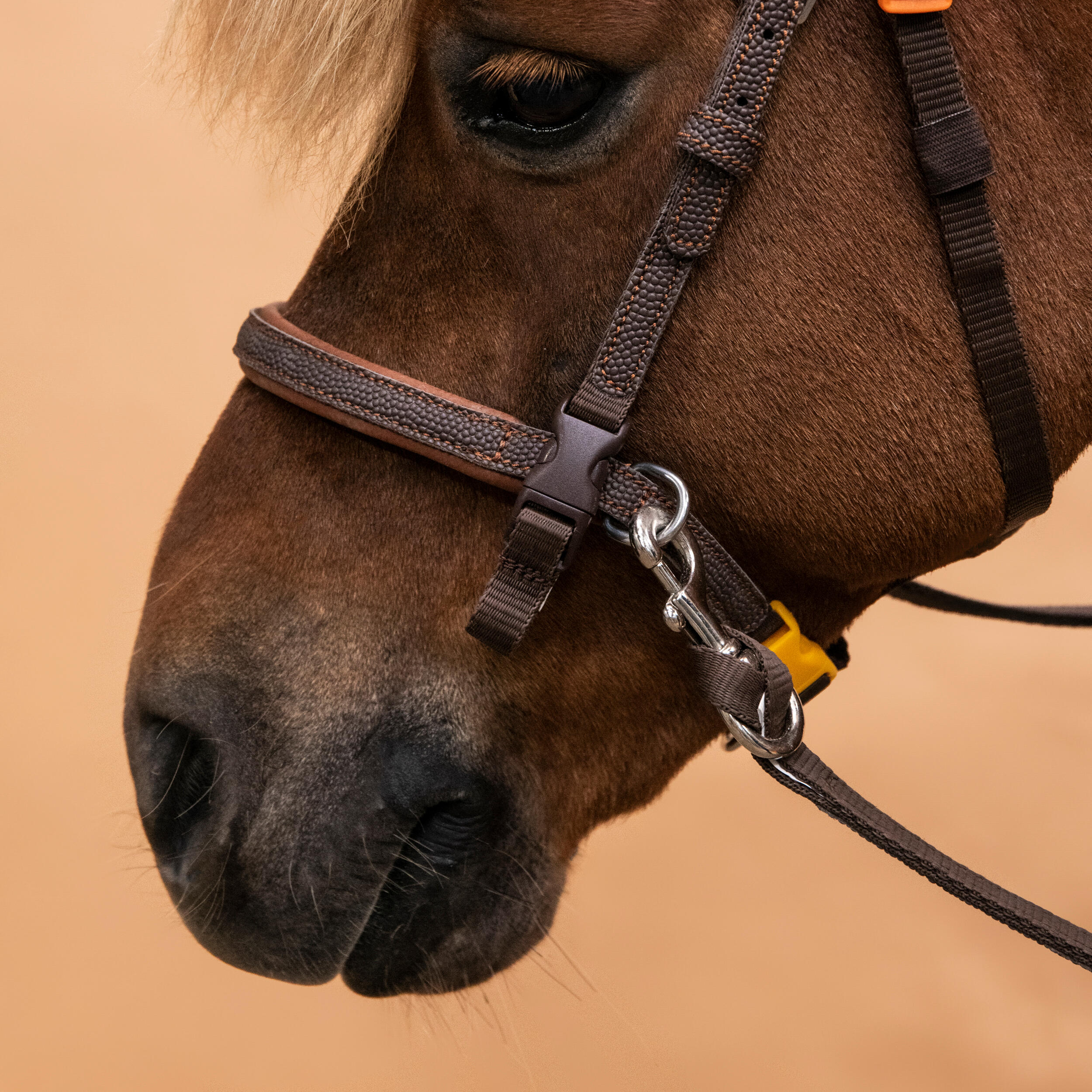 Horse Riding Synthetic Beginner Pony Bridle and Reins 100 - Brown 6/7