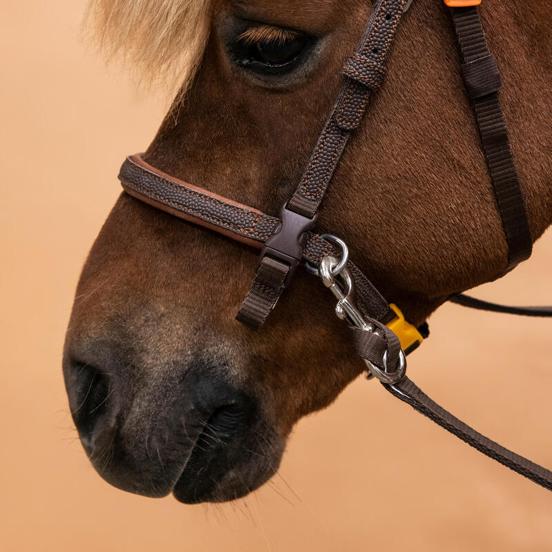 Filet et rênes équitation synthétique initiation Poney - 100 marron