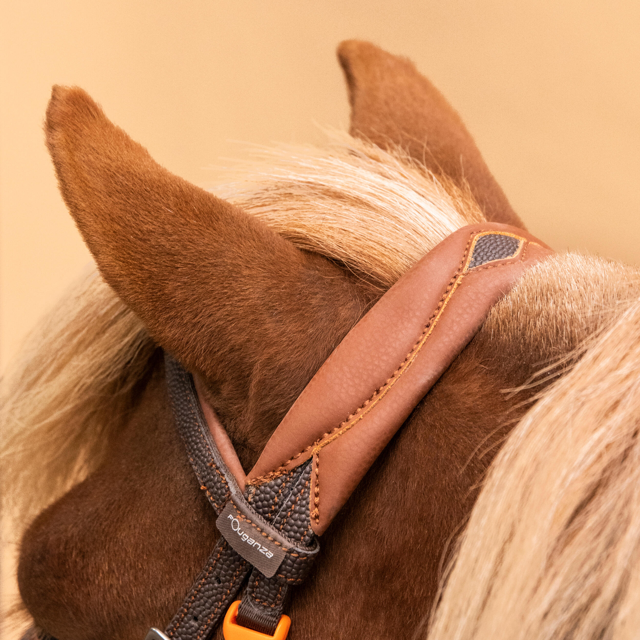 Horse Riding Synthetic Beginner Pony Bridle and Reins 100 - Brown 5/7