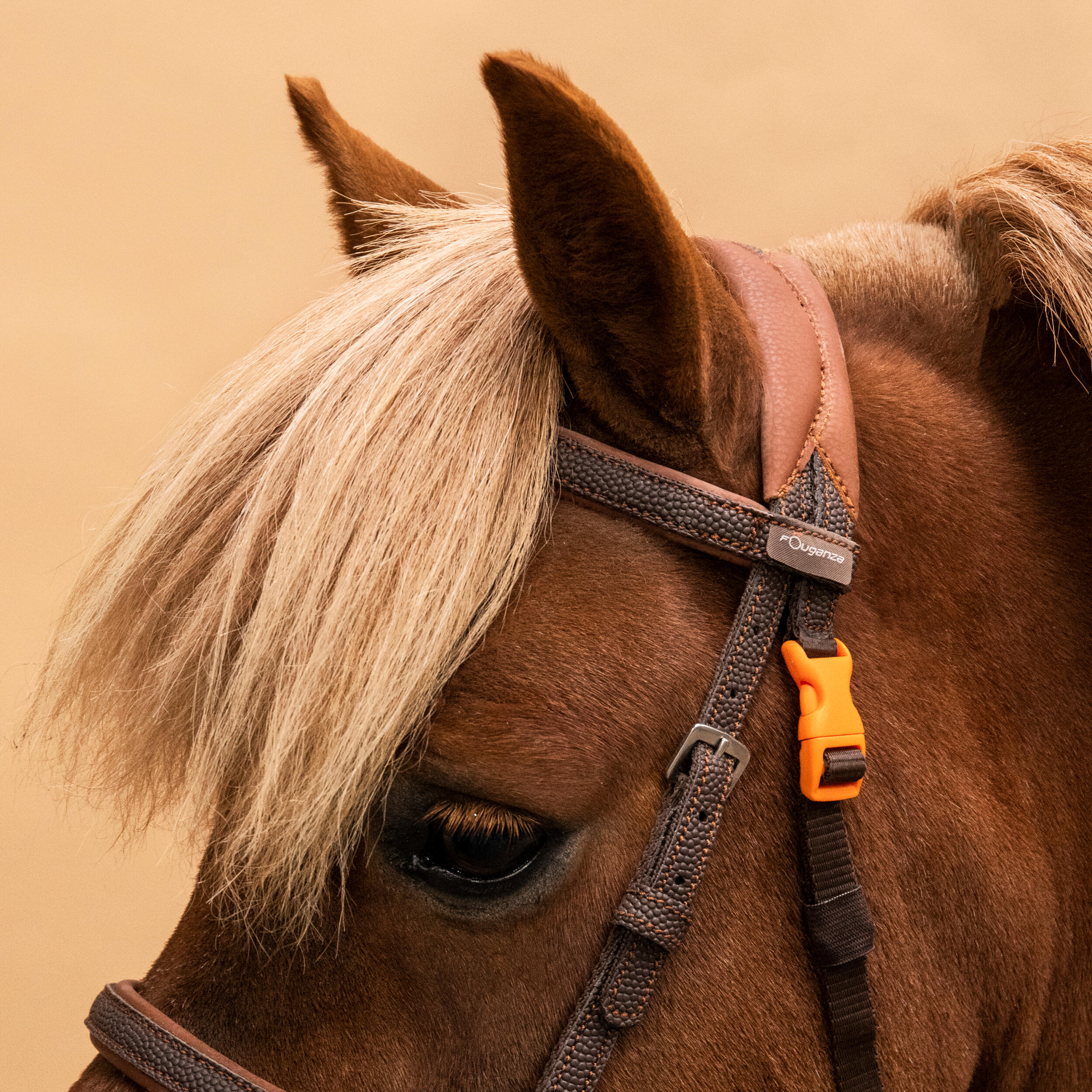 Horse Riding Synthetic Beginner Pony Bridle and Reins 100 - Brown 4/7