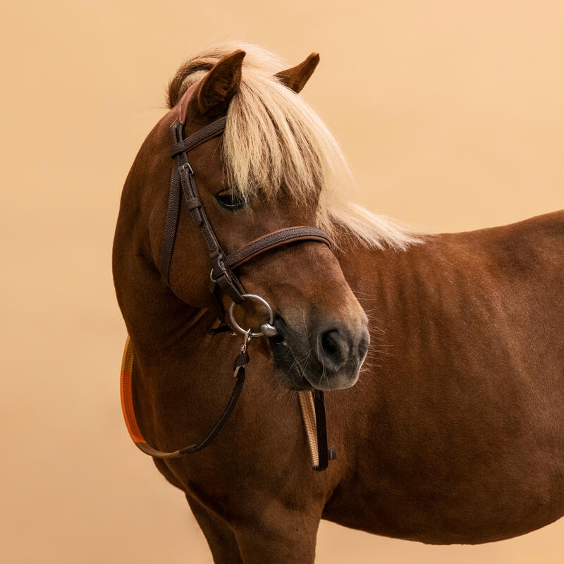 Filet et rênes équitation synthétique initiation Poney - 100 marron