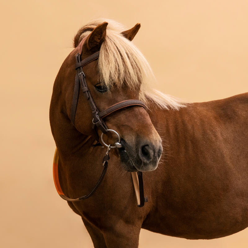 Hoofdstel en teugels voor pony's 100 INITIATION synthetisch materiaal met Franse neusriem bruin